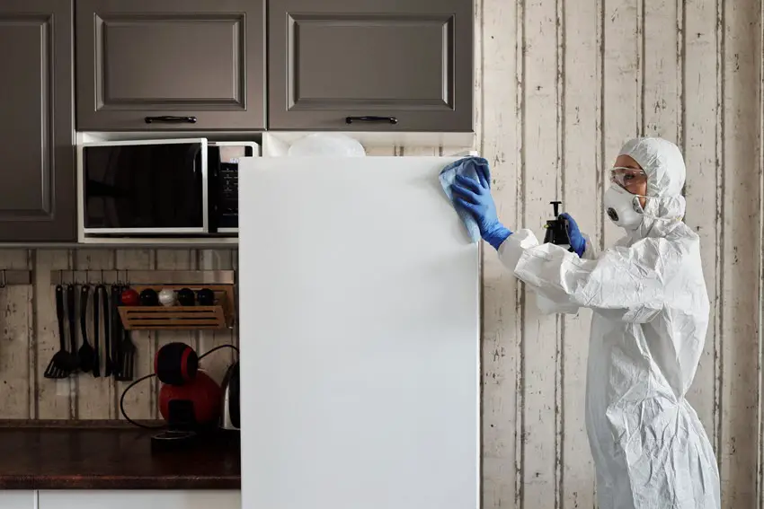 Cleaning a refrigerator